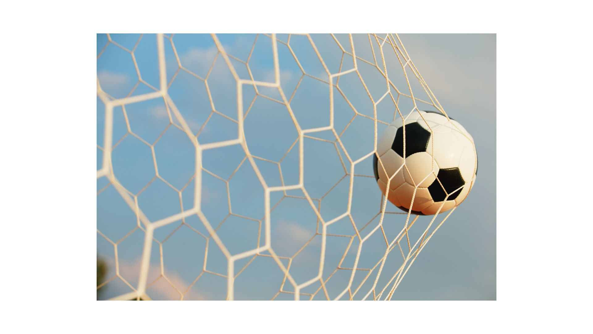 名称未設定のデザイン (37).jpg