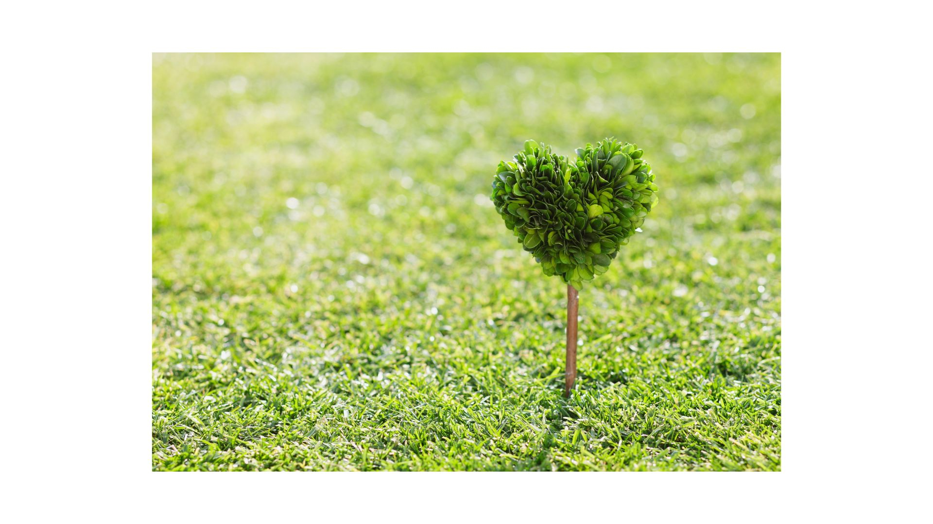 名称未設定のデザイン (43).jpg