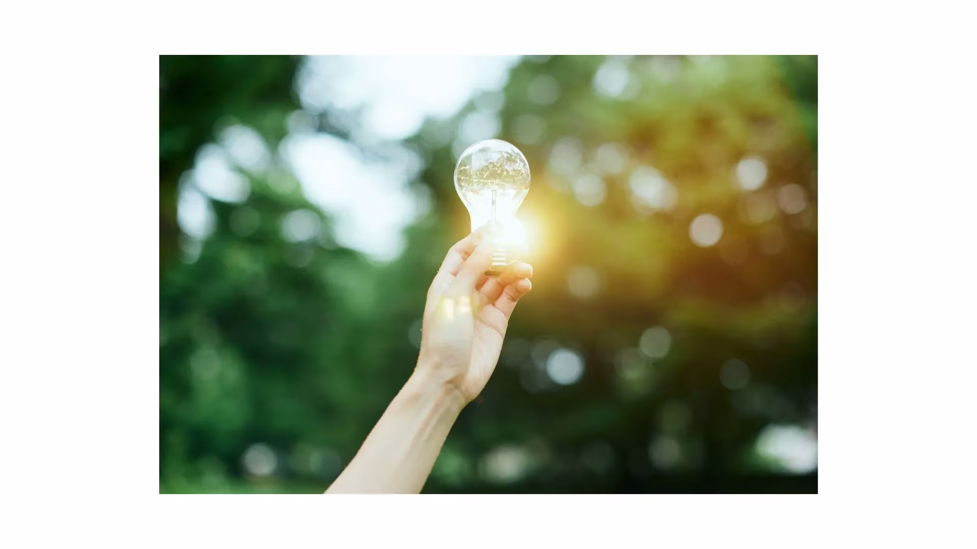 オレンジと白　ノート　ボランティア募集　プレゼンテーション (4).webp