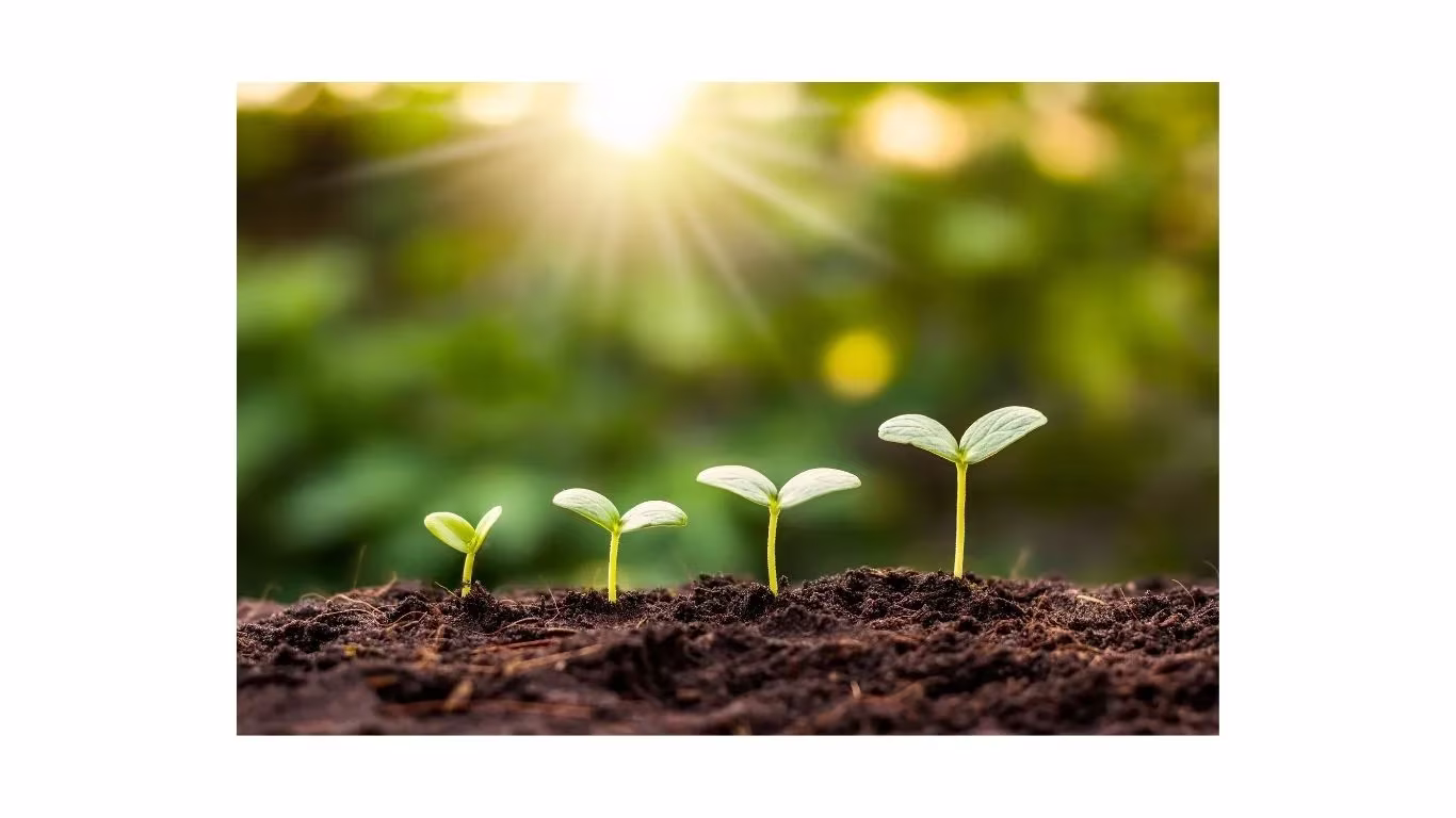 個人の力を組織の力へと転換 (2).webp