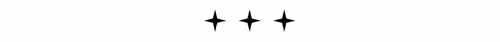 divider+star.webp
