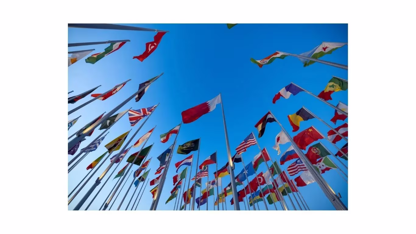 名称未設定のデザイン (24).webp